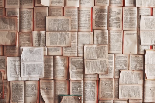 ESTENSIONE DEL DOMINIO DELLA LOTTA di Michael Houellebecq