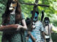 Pet Semetary. O i segreti del residente
